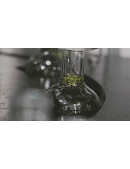 Aceite de Oliva Virgen Extra Primera Cosecha