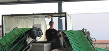 El proceso que nos diferencia: cómo llegar a ser un aceite de oliva virgen extra de cosecha temprana