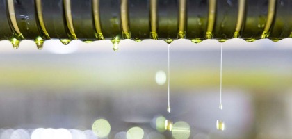 10 Beneficios del aceite de oliva