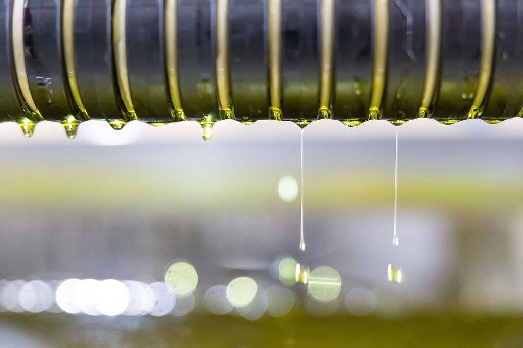 10 Beneficios del aceite de oliva