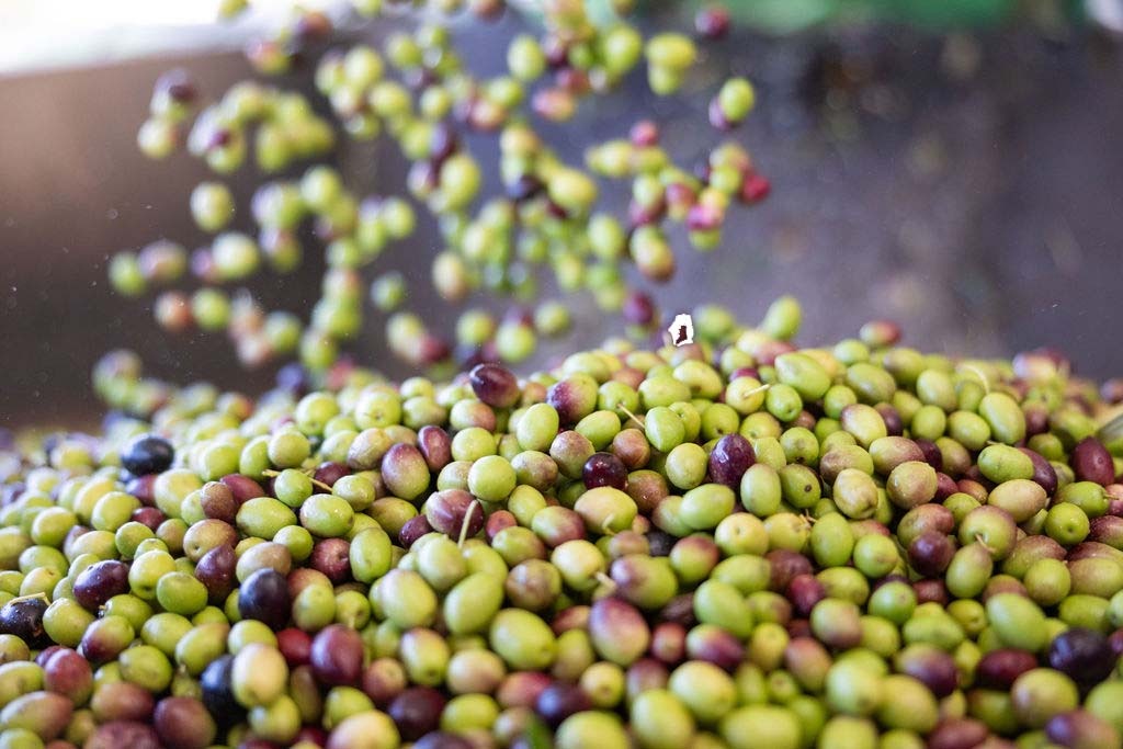 ¿Qué significa AOVE y por qué no son todos iguales?